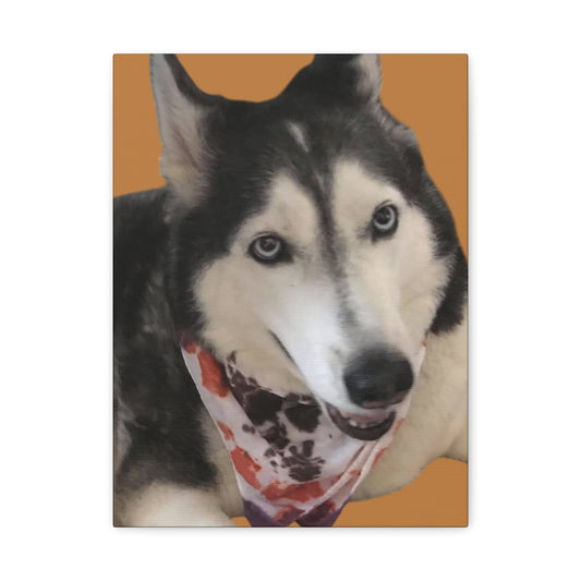 Canvas Print - Niya Beautiful Husky with Tie-Dye Bandanna